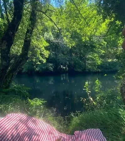 Escola Da Floresta Сasa de vacaciones