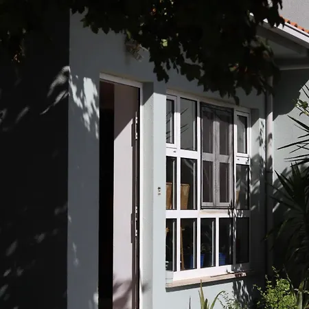 Escola Da Floresta