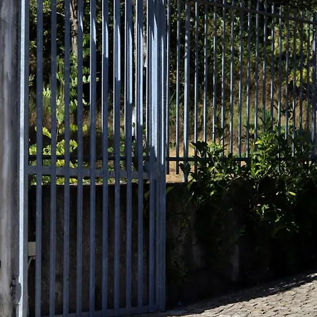 Escola Da Floresta Mondim de Basto